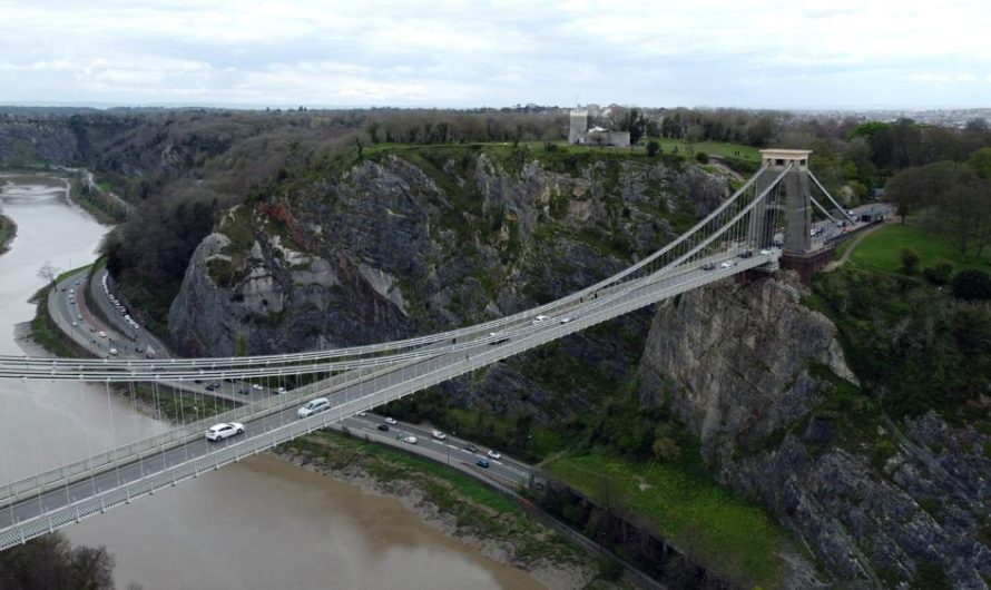 Krzewuszka 'Bristol Ruby’: Jak uprawiać i rozmnażać tę odmianę?