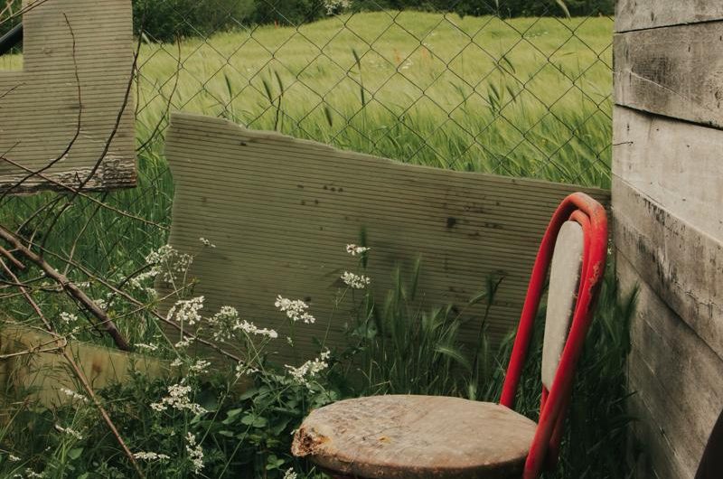 Gotowanie w stylu roślinnym: Przepisy na dania z tofu i seitanem