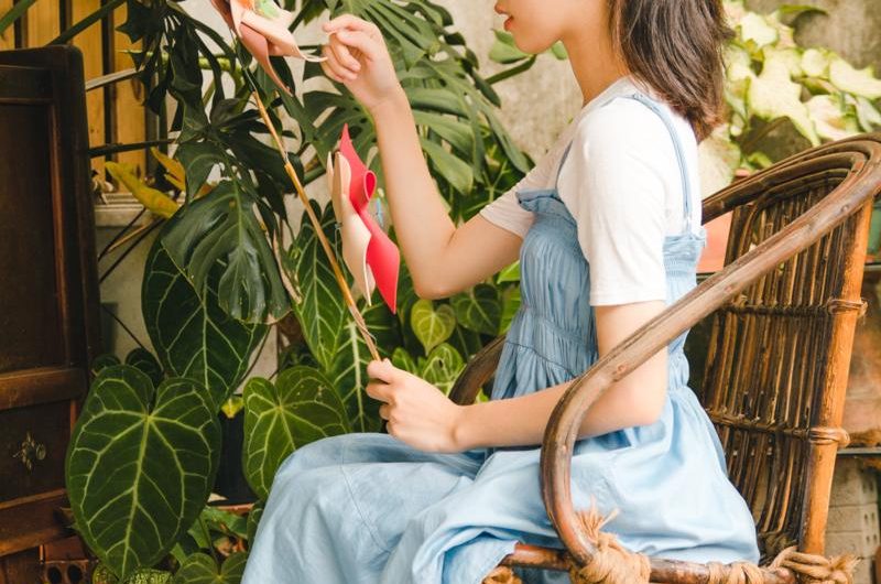 Filodendron podwójniepierzasty: Tajniki uprawy, rozmnażania i różnorodności!