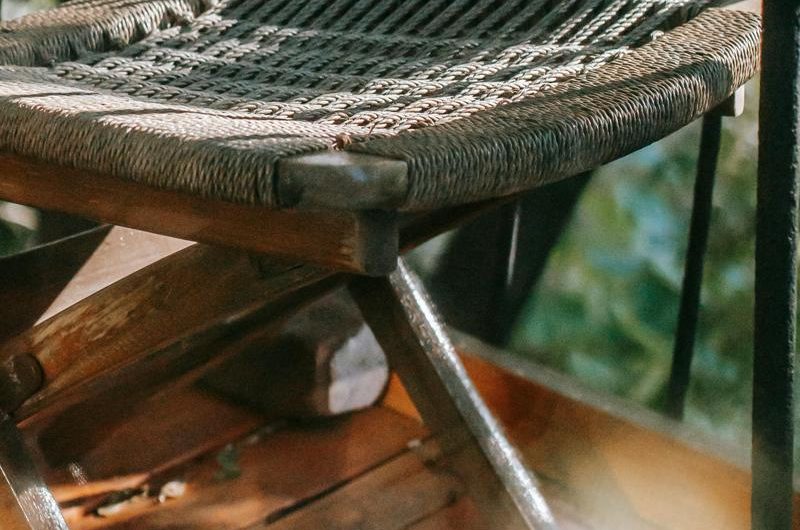 Bluszcz na balkon: Wybierz najlepszy gatunek – Praktyczny poradnik