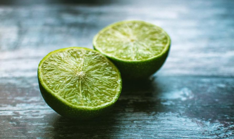 Uprawa i rozmnażanie draceny wonnej 'Lemon Lime’: Jak cieszyć się pięknem tej odmiany.