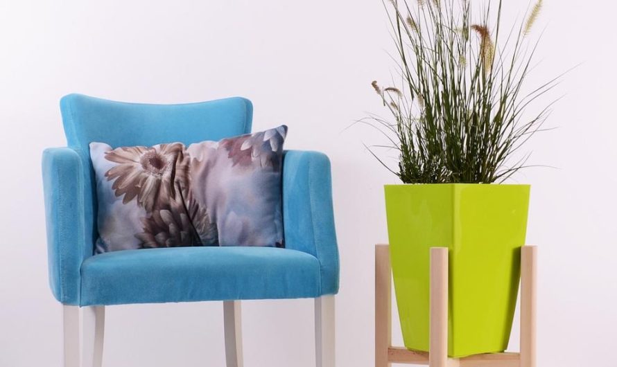Dracena rozgałęziona: Znajdź idealną odmianę i dowiedz się, jak ją uprawiać i rozmnażać!