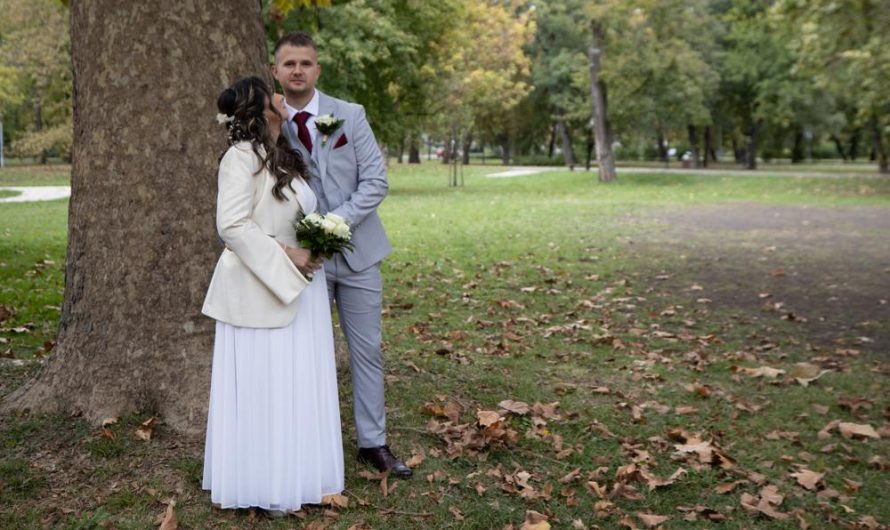 Figowiec benjamina: odkryj tajemnice uprawy i rozmnażania tej niesamowitej rośliny!