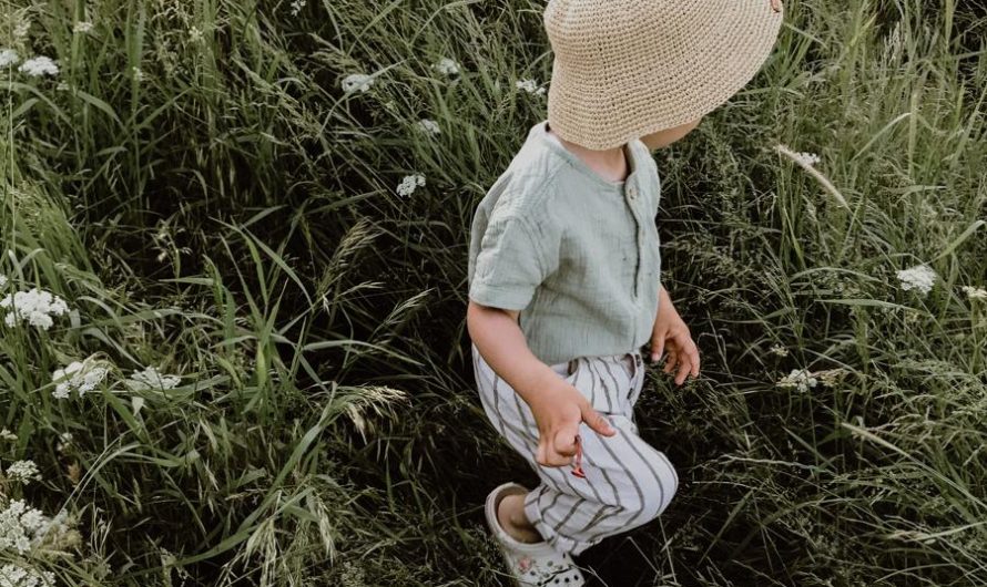 Dziewanna drobnokwiatowa: odmiany, uprawa i rozmnażanie – jak się tym zająć?