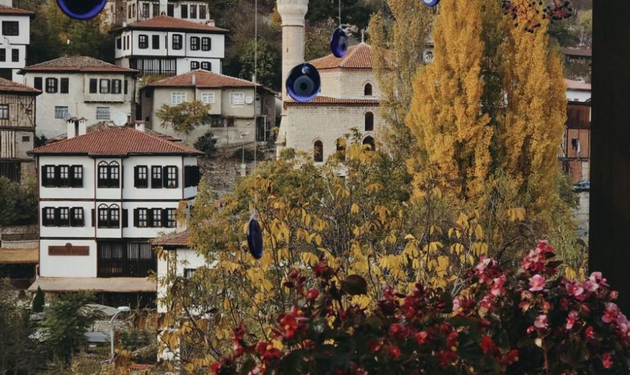 Odkrywamy najlepsze kwiaty na balkon: przegląd gatunków, porady i wskazówki!