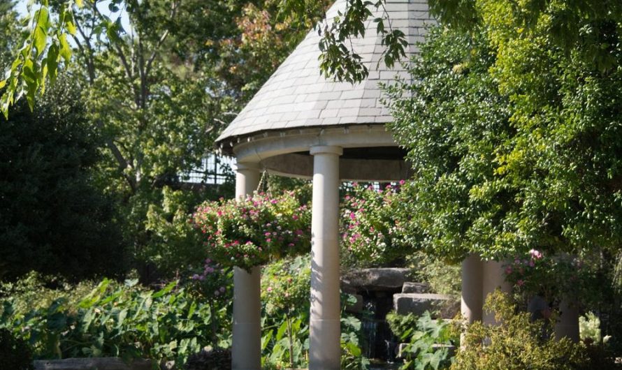 Budowa altany ogrodowej: koszty, wymogi prawne i praktyczne porady