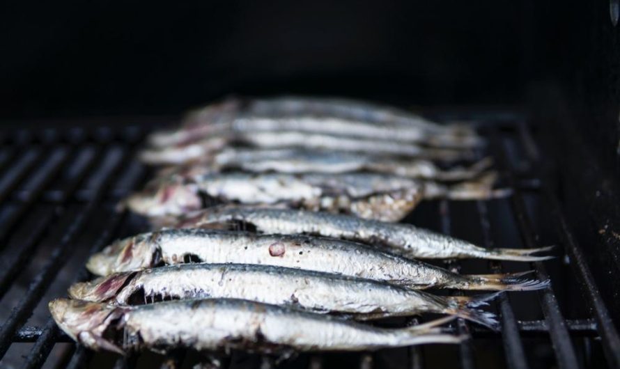 Grillo-wędzarnia: Czy grill z wędzarnią to dobry pomysł?