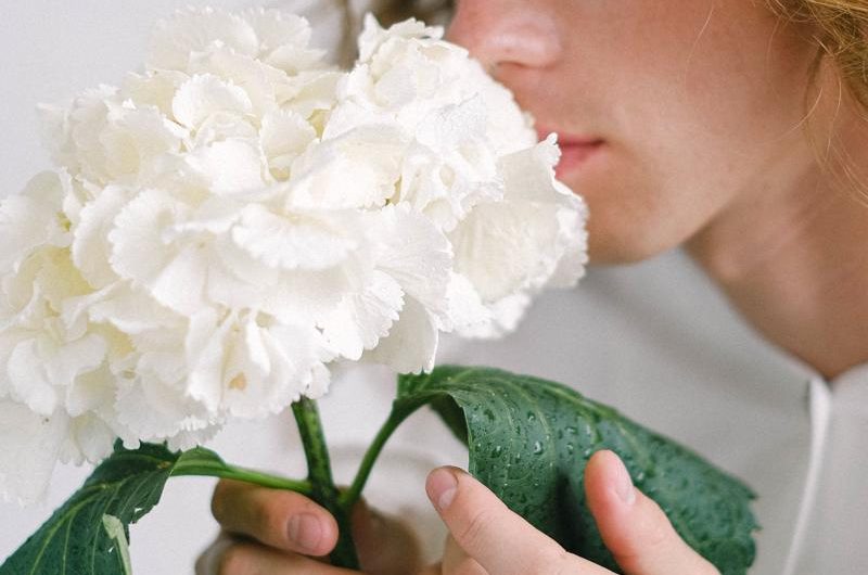 Hortensja bukietowa 'Confetti’: Odmiany, uprawa i rozmnażanie tej pięknej rośliny!