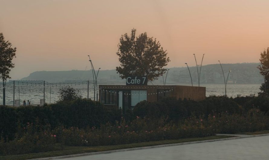Lobelia przylądkowa: odkryj odmiany, jak uprawiać i rozmnażać!