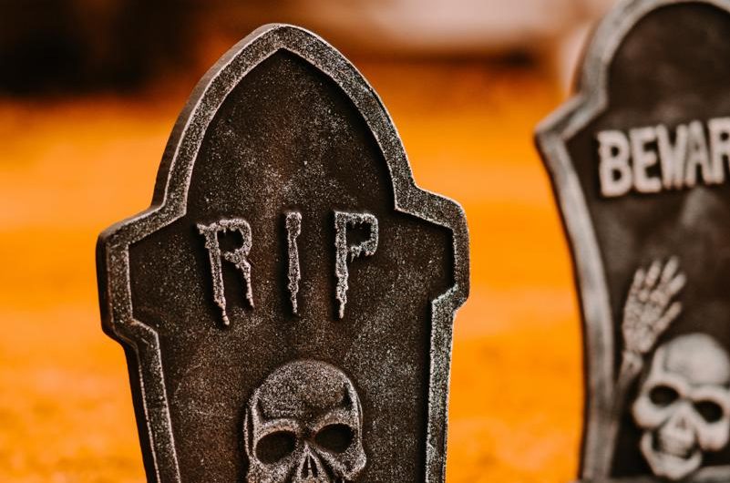 Jak uprawiać i rozmnażać miskant chiński 'Gracillimus’?