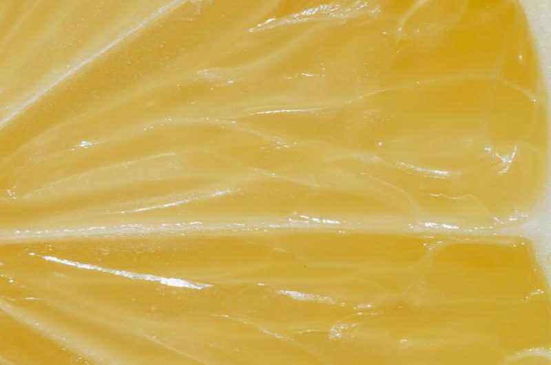 Irga szwedzka: odmiany, uprawa i rozmnażanie – co musisz wiedzieć