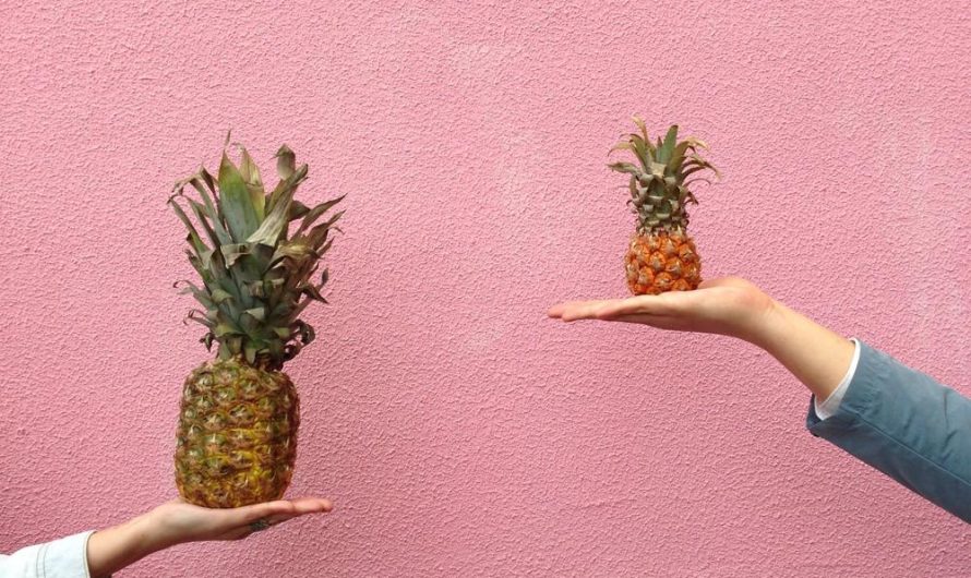 Odmiany, uprawa i rozmnażanie bananów Musa Tropicana – wszystko, co musisz wiedzieć!