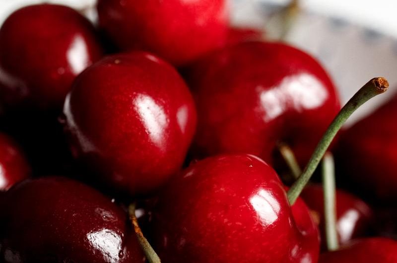 Czereśnia 'Burlat’: Upór i pasja w uprawie tej wyjątkowej odmiany